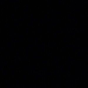 Meet your Posher, Chase